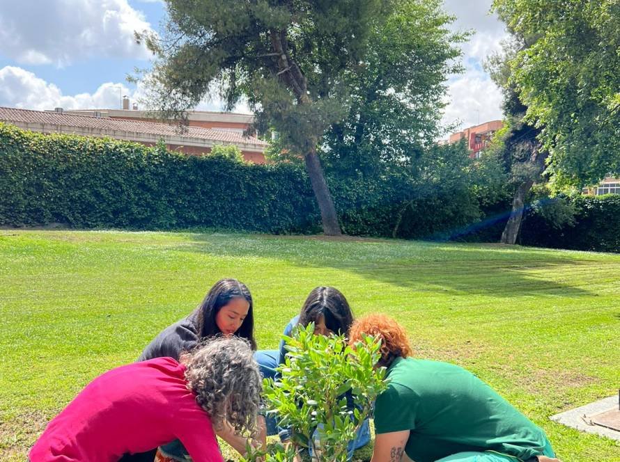 Plantacion UC3M